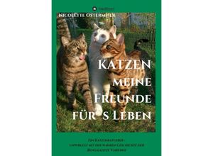 9783347230972 - KATZEN - meine Freunde fürs Leben - Nicolette Ostermeier Kartoniert (TB)