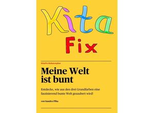 9783347275324 - KitaFix-Rahmenplan Meine Welt ist bunt - Sandra Plha Kartoniert (TB)