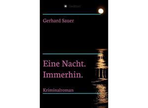 9783347400221 - Eine Nacht Immerhin - Gerhard Sauer Kartoniert (TB)