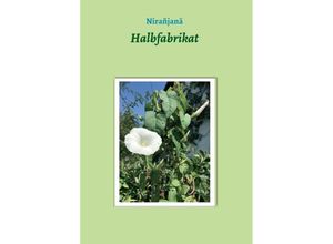 9783347418943 - Halbfabrikat - Fräulein Nirañjana Kartoniert (TB)