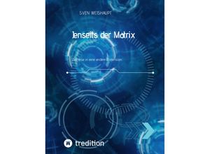 9783347480230 - Jenseits der Matrix Synchronizität Morphogenetisches Feld Bewusstseinsforschung Urfeld-Theorie Neues Zeitalter Lichtkörperprozess - Sven Weishaupt Kartoniert (TB)