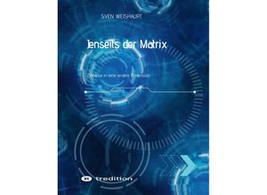 9783347480506 - Jenseits der Matrix Synchronizität Morphogenetisches Feld Bewusstseinsforschung Urfeld-Theorie Neues Zeitalter Lichtkörperprozess - Sven Weishaupt Kartoniert (TB)