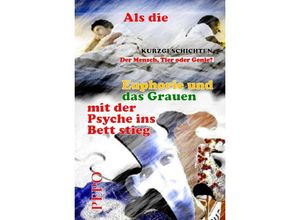 9783347499010 - Als die Euphorie und das Grauen mit der Psyche ins Bett stieg - PEPO (Peter) Haller Kartoniert (TB)