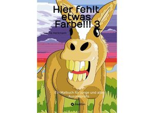 9783347588400 - Hier fehlt etwas Farbe!!! 3 - Sascha Heckmann Kartoniert (TB)
