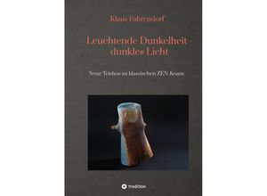 9783347785175 - Leuchtende Dunkelheit - dunkles Licht - Klaus Fahrendorf Kartoniert (TB)