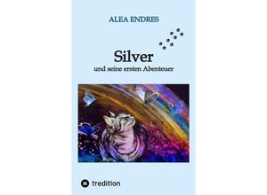 9783347906389 - Silver - Alea Endres Kartoniert (TB)