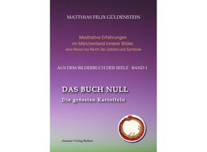 9783347913875 - DAS BUCH NULL  Der Narr im Tarot  Das Nullpunkt-Feld  Der Urknall und andere Anfänge  Das Welten-Ei  Iwan der Dummkopf  Der Dreh mit der Himmelsschlange  - Matthias Felix Güldenstein Kartoniert (TB)