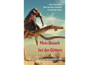 9783347950207 - Mein Besuch bei den Göttern - Clara Baumann Max Stachen Constantin Meys Kartoniert (TB)