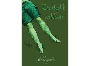 9783347989993 - Die Haptik der Wände - m skalabyrinth Kartoniert (TB)