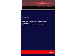 9783348015264 - New and little known South African Solifugae - W F Purcell Kartoniert (TB)