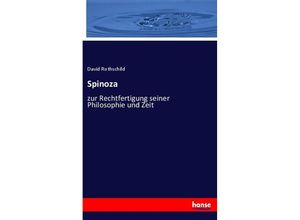 9783348067188 - Spinoza - David Rothschild Kartoniert (TB)