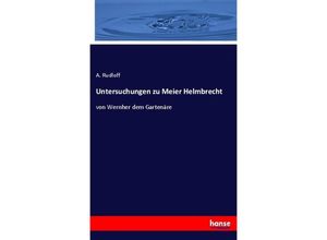 9783348073202 - Untersuchungen zu Meier Helmbrecht - A Rudloff Kartoniert (TB)