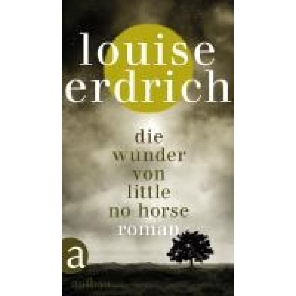 9783351037864 - Erdrich Louise Die Wunder von Little No Horse