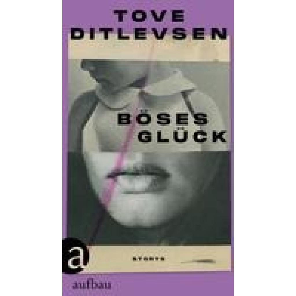 9783351039523 - Ditlevsen Tove Böses Glück