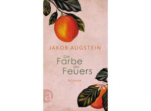 9783351042233 - Die Farbe des Feuers - Jakob Augstein Gebunden