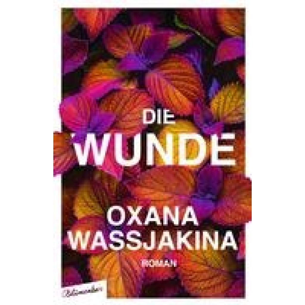 9783351051136 - Wassjakina Oxana Die Wunde