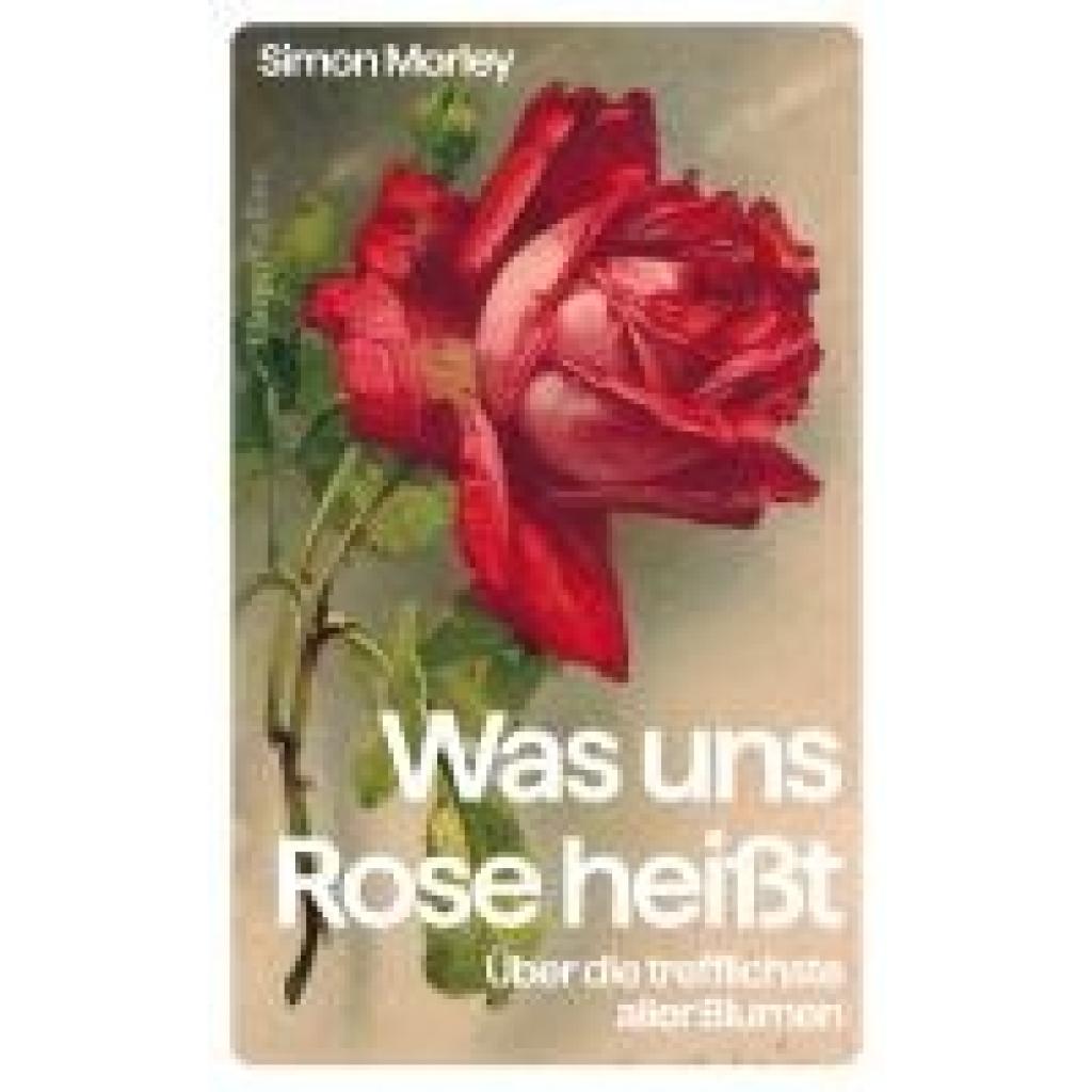 9783365005217 - Morley Simon Was uns Rose heißt Über die trefflichste aller Blumen