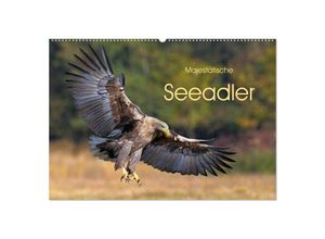 9783383002403 - Majestätische Seeadler (Wandkalender 2024 DIN A2 quer) CALVENDO Monatskalender