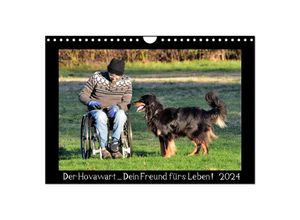 9783383042478 - Der Hovawart Dein Freund fürs Leben ! (Wandkalender 2024 DIN A4 quer) CALVENDO Monatskalender