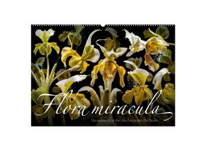 9783383044618 - Flora miracula - Die wundersame Welt des Fotografen Olaf Bruhn (Wandkalender 2024 DIN A2 quer) CALVENDO Monatskalender