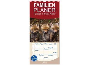 9783383074585 - Familienplaner 2024 - Füchse in freier Natur mit 5 Spalten (Wandkalender 21 x 45 cm) CALVENDO