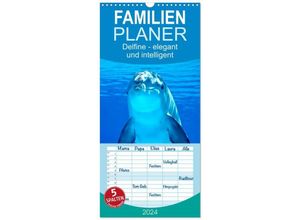 9783383075643 - Familienplaner 2024 - Delfine - elegant und intelligent mit 5 Spalten (Wandkalender 21 x 45 cm) CALVENDO