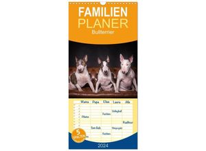 9783383105845 - Familienplaner 2024 - Bullterrier mit 5 Spalten (Wandkalender 21 x 45 cm) CALVENDO