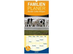 9783383106675 - Familienplaner 2024 - Border Collie Welpen mit 5 Spalten (Wandkalender 21 x 45 cm) CALVENDO