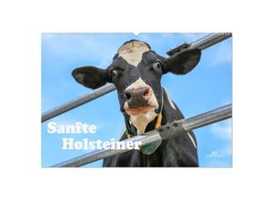 9783383123269 - Sanfte Holsteiner (Wandkalender 2024 DIN A2 quer) CALVENDO Monatskalender