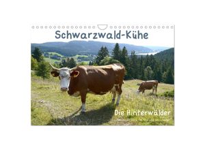 9783383247019 - Schwarzwald-Kühe - Die Hinterwälder (Wandkalender 2024 DIN A4 quer) CALVENDO Monatskalender