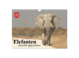 9783383308956 - Elefanten Sensible Rüsseltiere (Wandkalender 2024 DIN A4 quer) CALVENDO Monatskalender