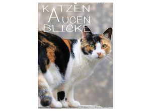 9783383330476 - KATZEN AUGEN BLICKE (Wandkalender 2024 DIN A2 hoch) CALVENDO Monatskalender