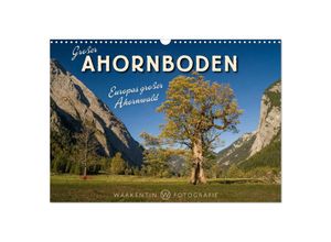 9783383402043 - Großer Ahornboden - Europas großer Ahornwald (Wandkalender 2024 DIN A3 quer) CALVENDO Monatskalender