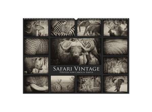 9783383432927 - Safari Vintage (Wandkalender 2024 DIN A2 quer) CALVENDO Monatskalender