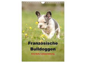 9783383505249 - Französische Bulldoggen - Eine Bully Liebeserkärung (Wandkalender 2024 DIN A4 hoch) CALVENDO Monatskalender