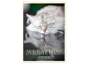 9783383580857 - Zauberhafte Katzen - Familienplaner (Wandkalender 2024 DIN A2 hoch) CALVENDO Monatskalender