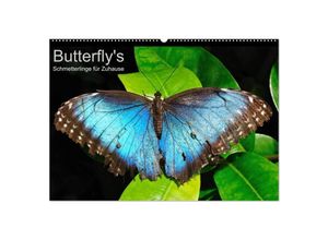 9783383601262 - Butterflys - Schmetterlinge für Zuhause (Wandkalender 2024 DIN A2 quer) CALVENDO Monatskalender