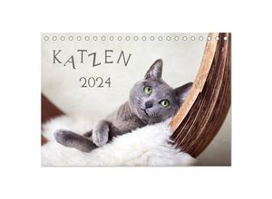 9783383630866 - Katzen 2024 (Tischkalender 2024 DIN A5 quer) CALVENDO Monatskalender