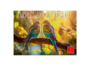 9783383648083 - Wellensittiche farbenfroh und munter (Wandkalender 2024 DIN A4 quer) CALVENDO Monatskalender