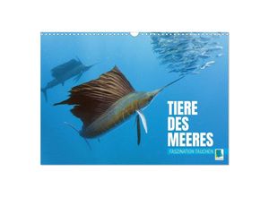 9783383653049 - Tiere des Meeres Faszination Tauchen (Wandkalender 2024 DIN A3 quer) CALVENDO Monatskalender