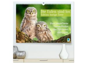 9783383687907 - Die Eulen sind los Edition lustige Tiere (hochwertiger Premium Wandkalender 2024 DIN A2 quer) Kunstdruck in Hochglanz