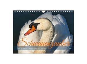 9783383703843 - Schwanenzauber (Wandkalender 2024 DIN A4 quer) CALVENDO Monatskalender