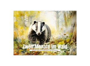 9783383747700 - Zwölf Monate im Wald (Wandkalender 2024 DIN A2 quer) CALVENDO Monatskalender