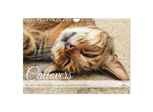 9783383794278 - Catlovers - Ein Jahr voller Samtpfoten und charmanten Weisheiten (Wandkalender 2025 DIN A4 quer) CALVENDO Monatskalender