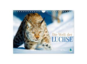 9783383820311 - Die Welt der Luchse (Wandkalender 2025 DIN A4 quer) CALVENDO Monatskalender