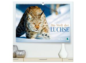 9783383820359 - Die Welt der Luchse (hochwertiger Premium Wandkalender 2025 DIN A2 quer) Kunstdruck in Hochglanz