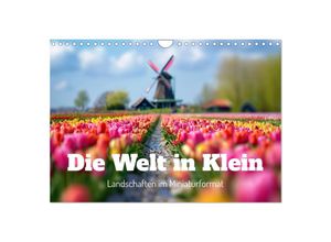 9783383820960 - Die Welt in Klein (Wandkalender 2025 DIN A4 quer) CALVENDO Monatskalender
