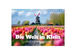 9783383821035 - Die Welt in Klein (Tischkalender 2025 DIN A5 quer) CALVENDO Monatskalender