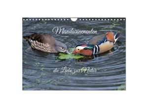 9783383821332 - Mandarinenenten die Liebe zur Natur (Wandkalender 2025 DIN A4 quer) CALVENDO Monatskalender