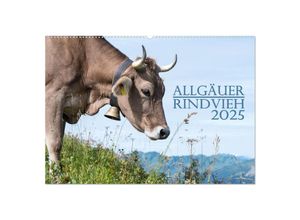 9783383832147 - Allgäuer Rindvieh 2025 (Wandkalender 2025 DIN A2 quer) CALVENDO Monatskalender